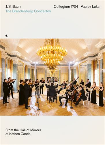 J.S.obn : ufuNt / @[ctENXARME1704 (J.S.Bach : Brandenburg Concertos 1-6 / Collegium 1704, V?clav Luks) [DVD] [Import] [{сEt]